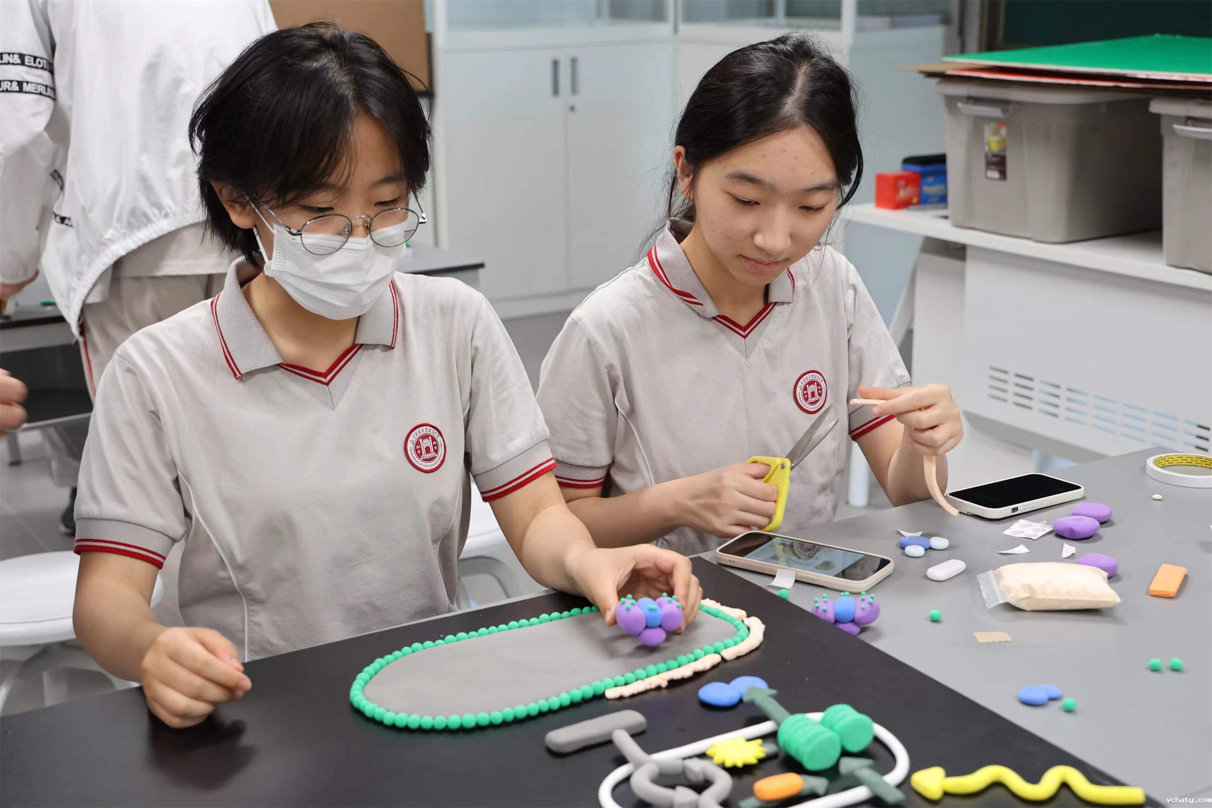 20240516439943.jpg 08AP生物项目式学习——生物模型制作.jpg