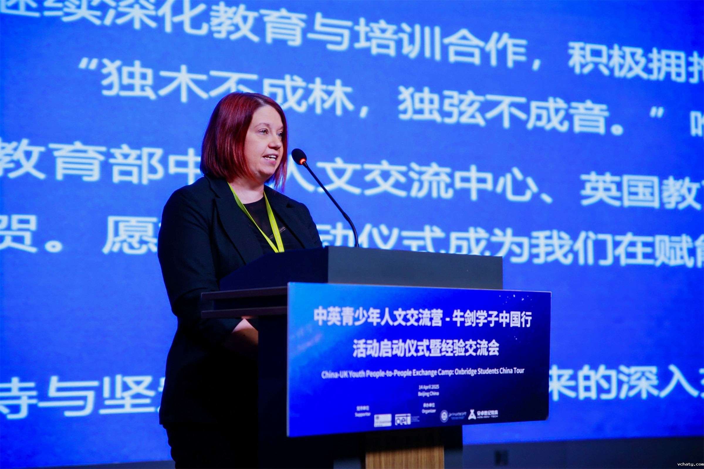 3英国驻华大使馆、英国商业贸易部Vicky Henry参赞致辞.jpg